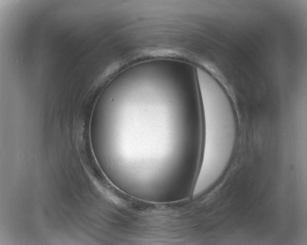X0000082730201200701261104
