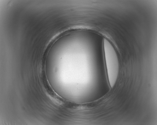 X0000082730204200701261104