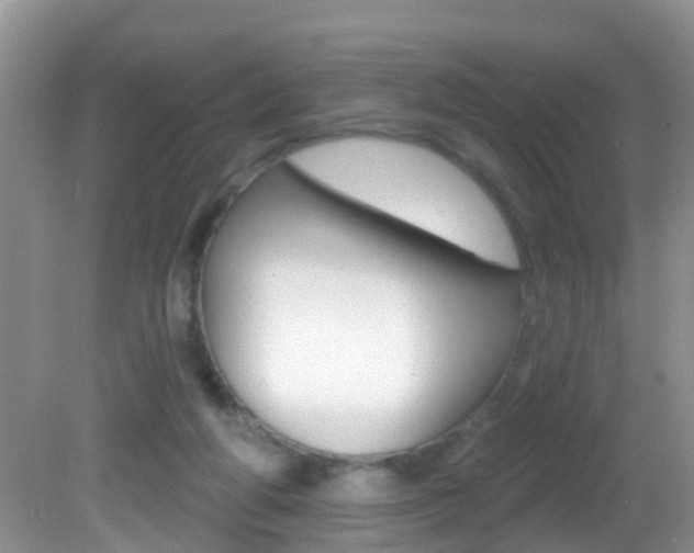 X0000082730210200701261104