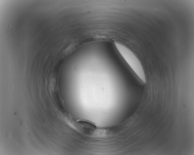 X0000082730227200701261104