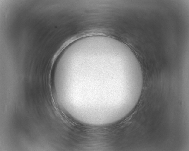 X0000082730244200701261103