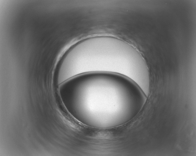 X0000082730248200701261103