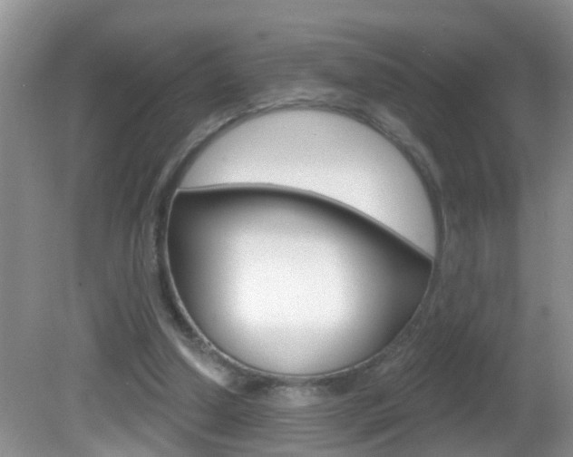 X0000082730250200701261103