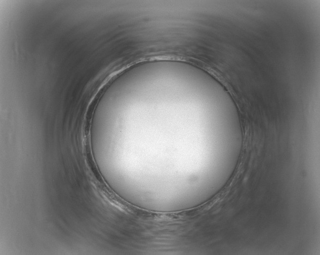 X0000082730290200701261103