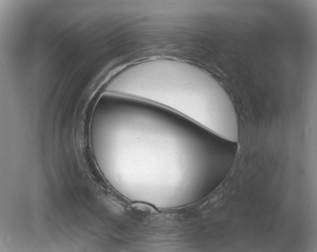 X0000082730291200701261103