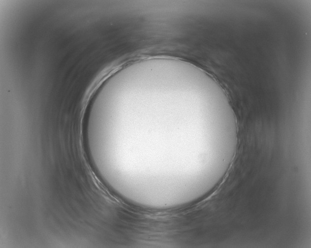 X0000082730293200701261103