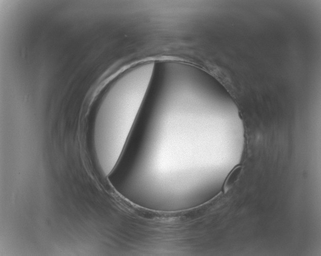 X0000082730295200701261103