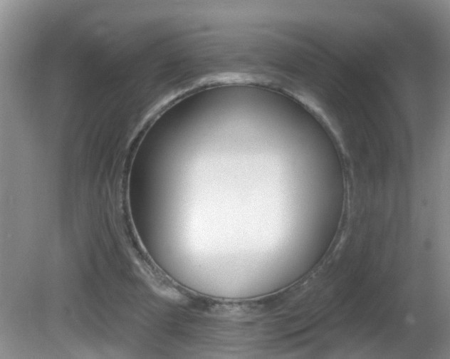 X0000082730297200701261103