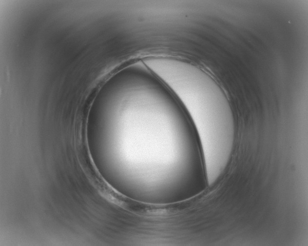 X0000082730301200701261103