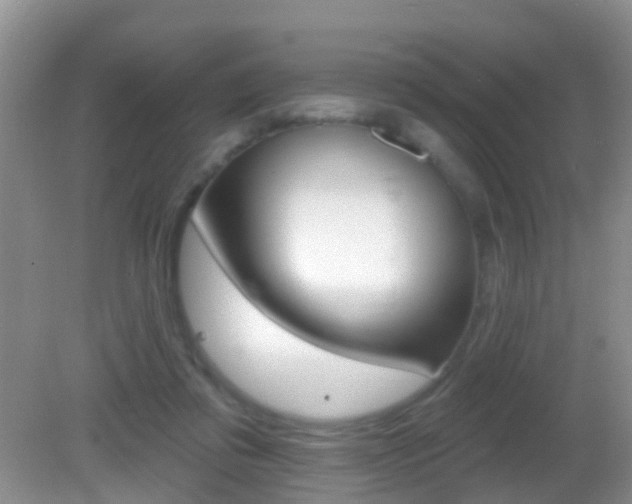X0000082730309200701261102