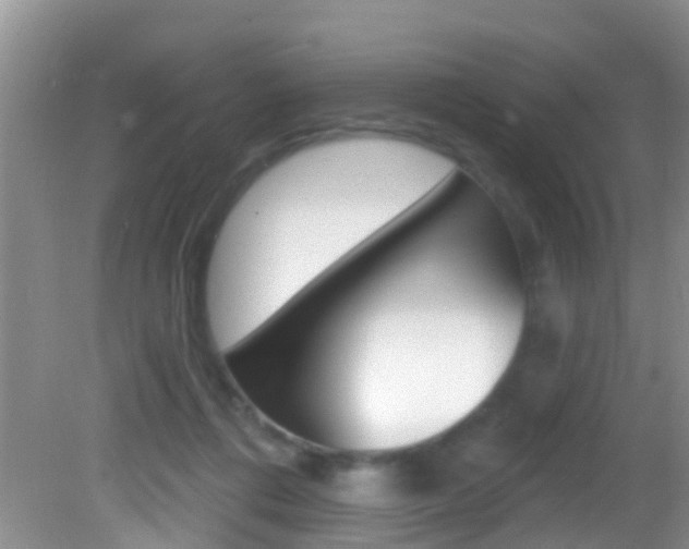 X0000082730312200701261102