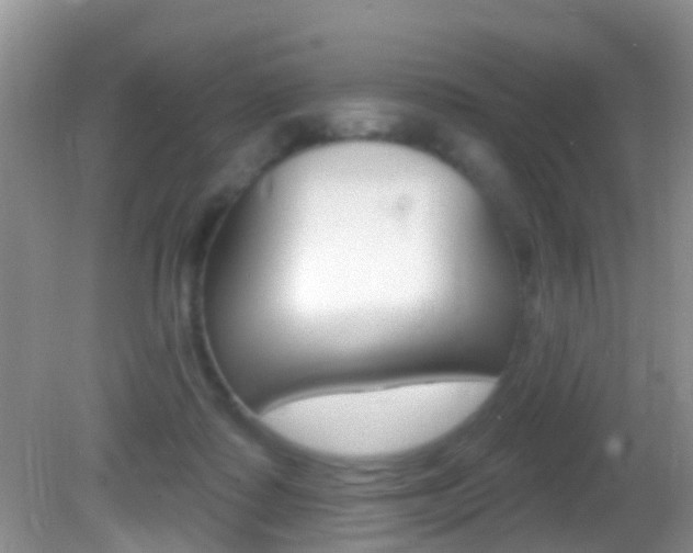 X0000082730315200701261102