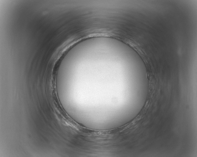 X0000082730338200701261101