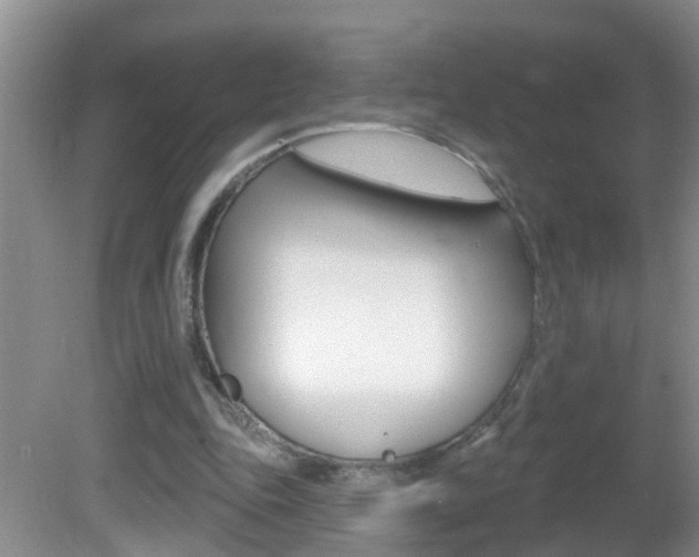 X0000082730343200701261101