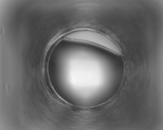 X0000082730344200701261101