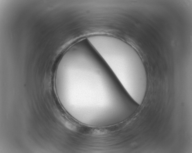 X0000082730346200701261101