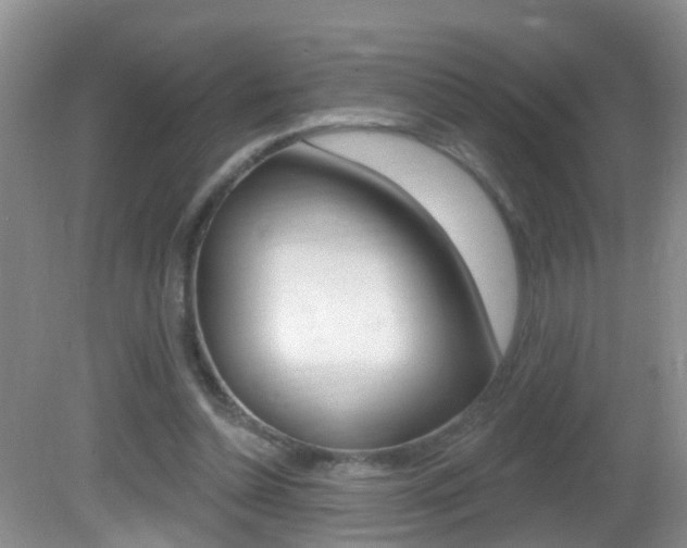 X0000082730348200701261101