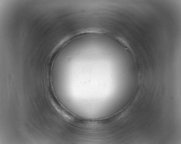 X0000082730349200701261101