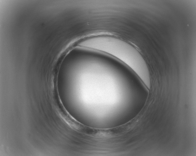 X0000082730350200701261101