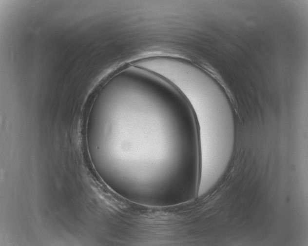 X0000082730387200701261101