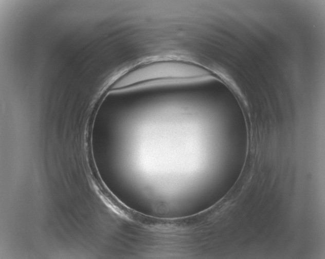 X0000082730389200701261101