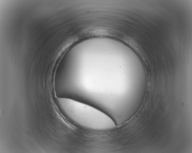 X0000082730390200701261101