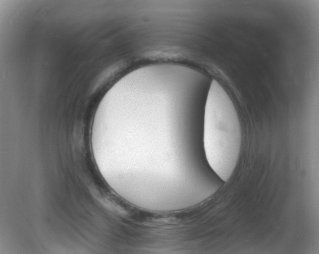 X0000082730396200701261101