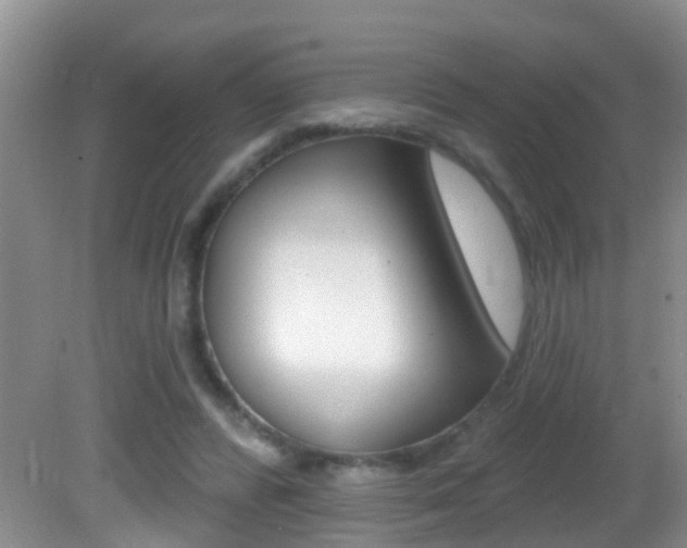 X0000082730400200701261101