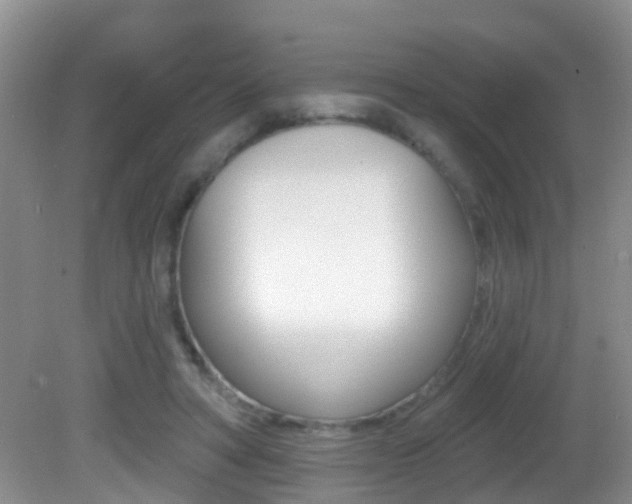 X0000082730402200701261101