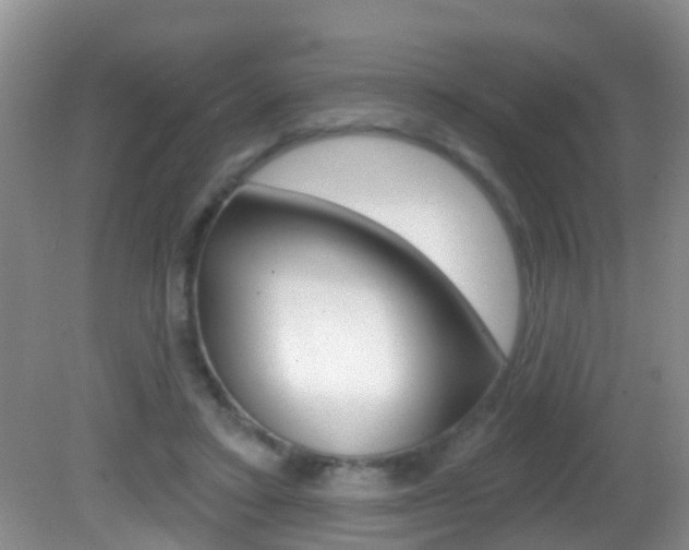 X0000082730403200701261101