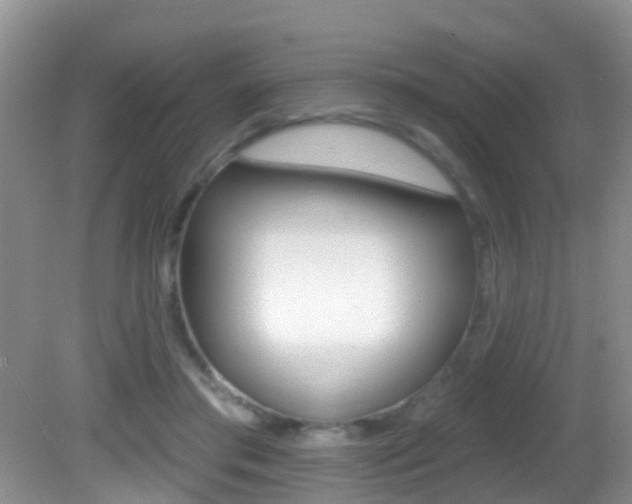 X0000082730405200701261101