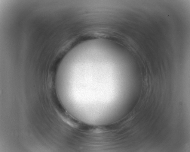 X0000082730412200701261101