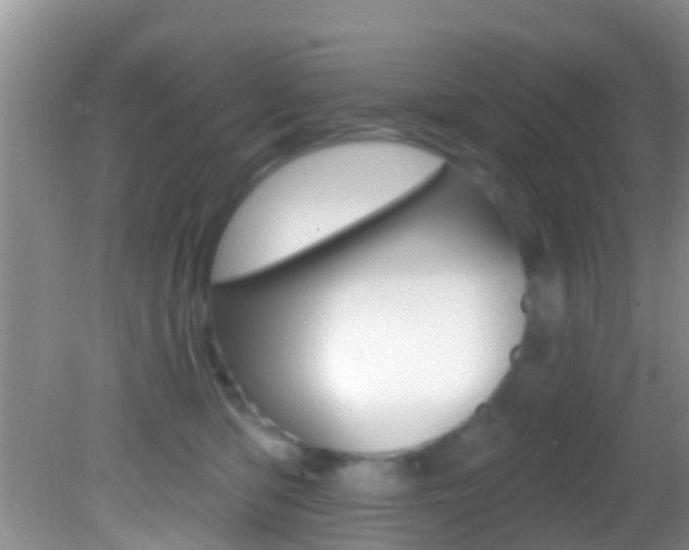 X0000082730422200701261101