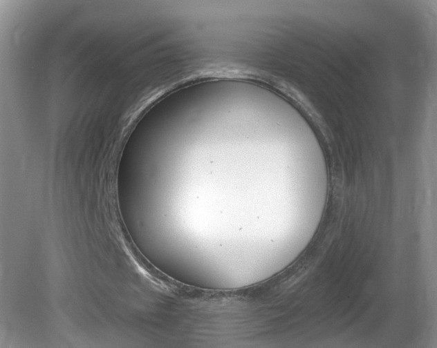 X0000082730433200701261100
