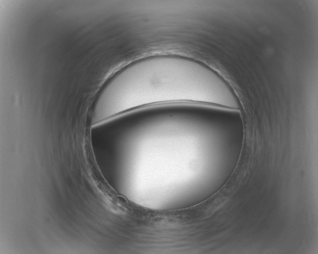 X0000082730434200701261100