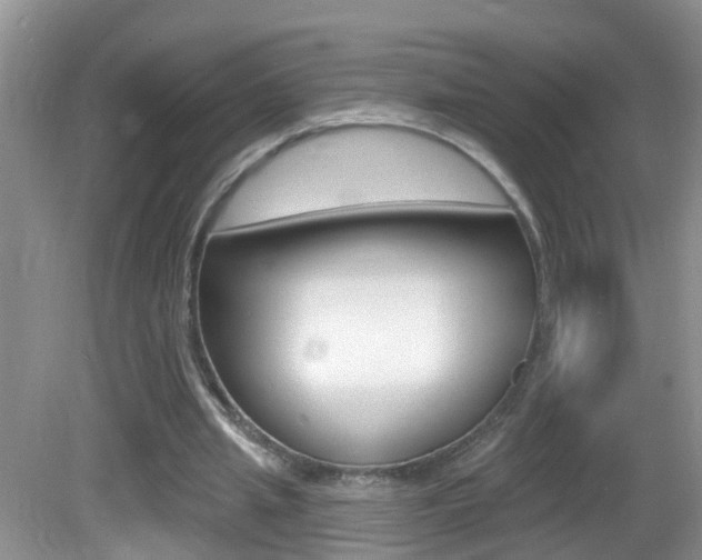 X0000082730437200701261100