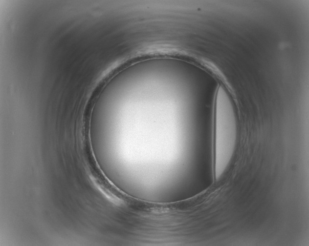 X0000082730439200701261100