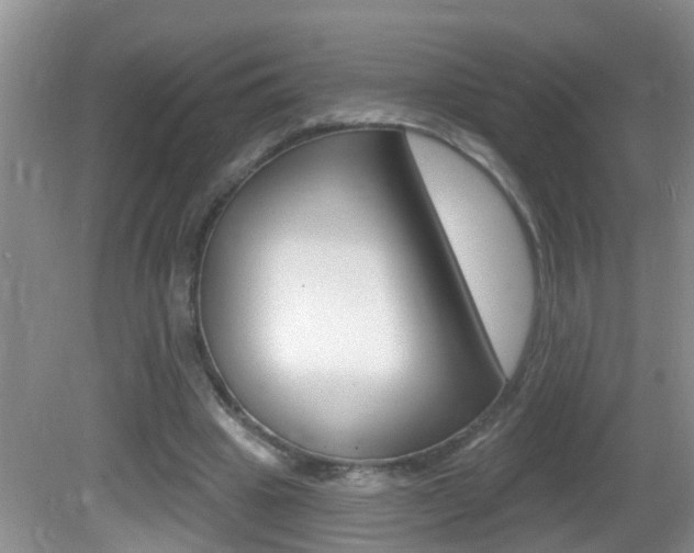 X0000082730441200701261100