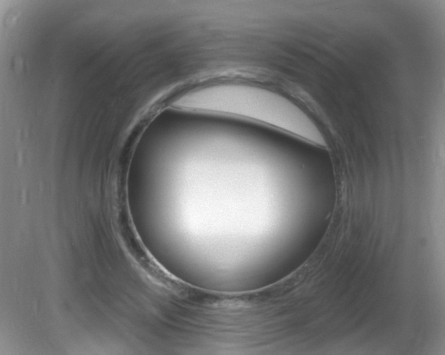 X0000082730444200701261100