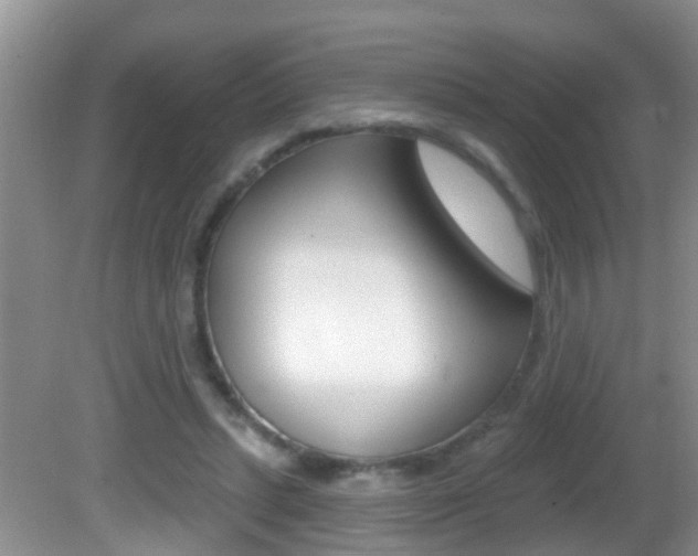 X0000082730447200701261100