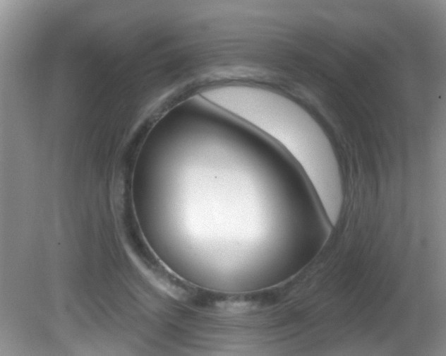 X0000082730448200701261100