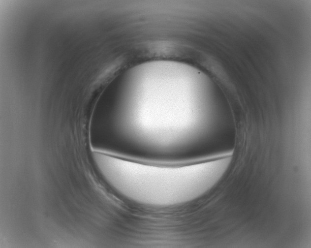 X0000082730450200701261100