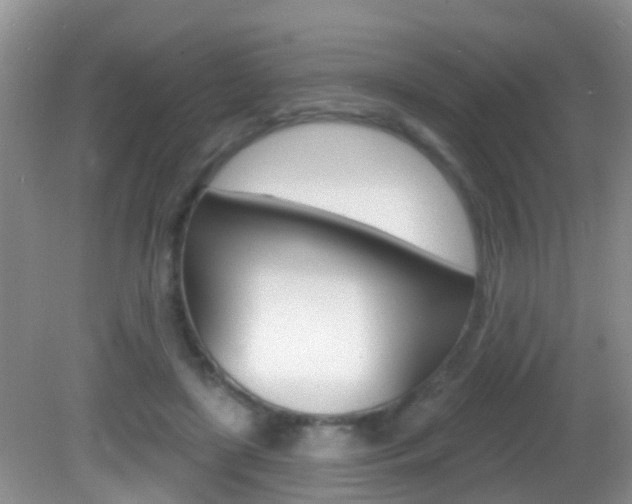 X0000082730451200701261100