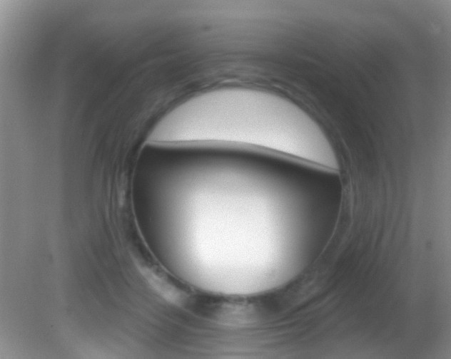 X0000082730458200701261100