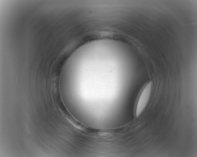 X0000082730462200701261100