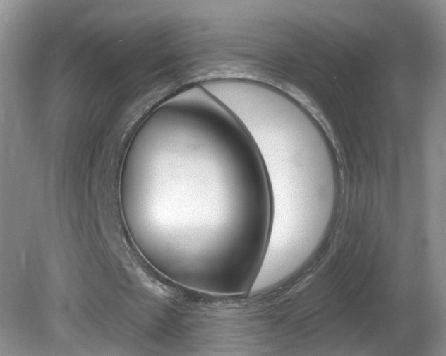 X0000082730481200701261100