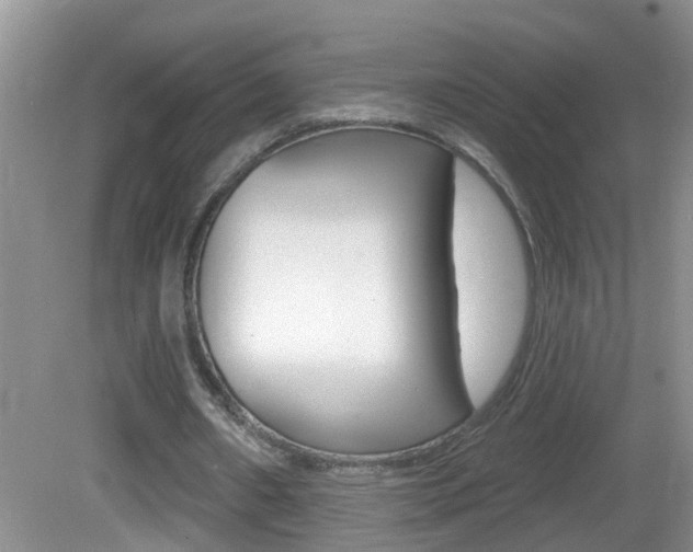 X0000082730482200701261100