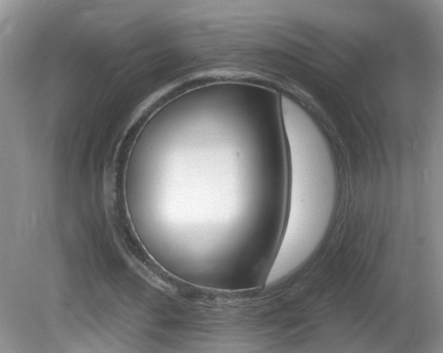 X0000082730484200701261059
