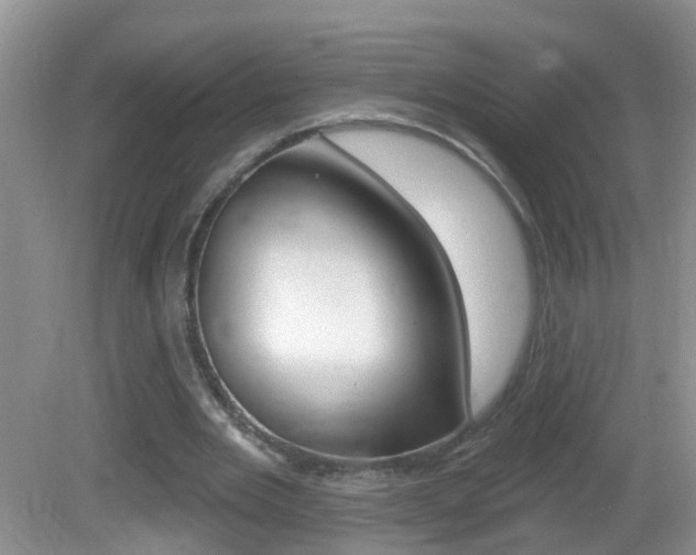X0000082730485200701261059