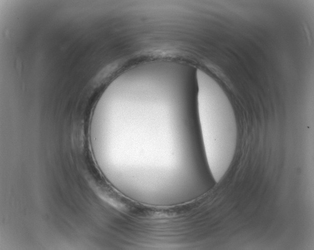 X0000082730494200701261059